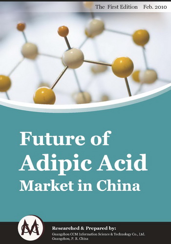 Future of Adipic Acid Market in China